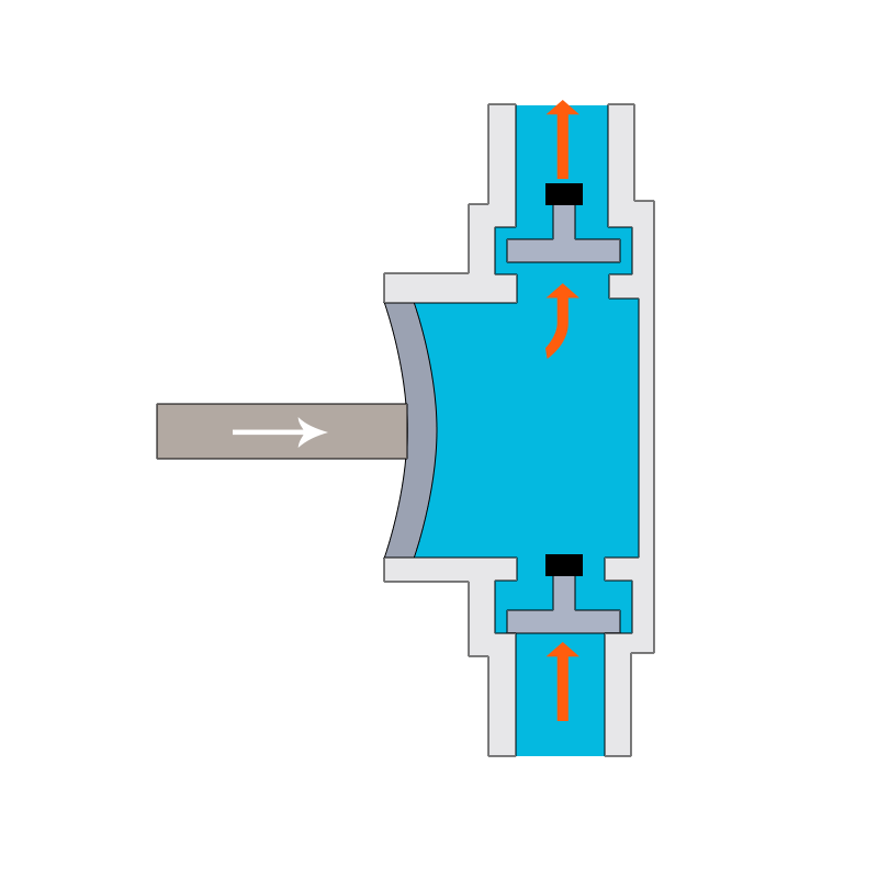 A schematic shows a flexible diaphragm moving back and forth. On the left, an inlet arrow directs fluid into the chamber. On the right, outlet arrows show fluid leaving. Two check valves are marked in black to regulate flow direction. This highlights the principle of diaphragm pumps.